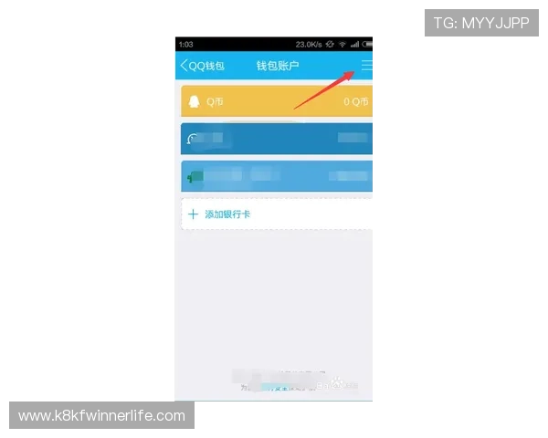 凯发888支付方式多样化安全便捷的充值提现流程全解析